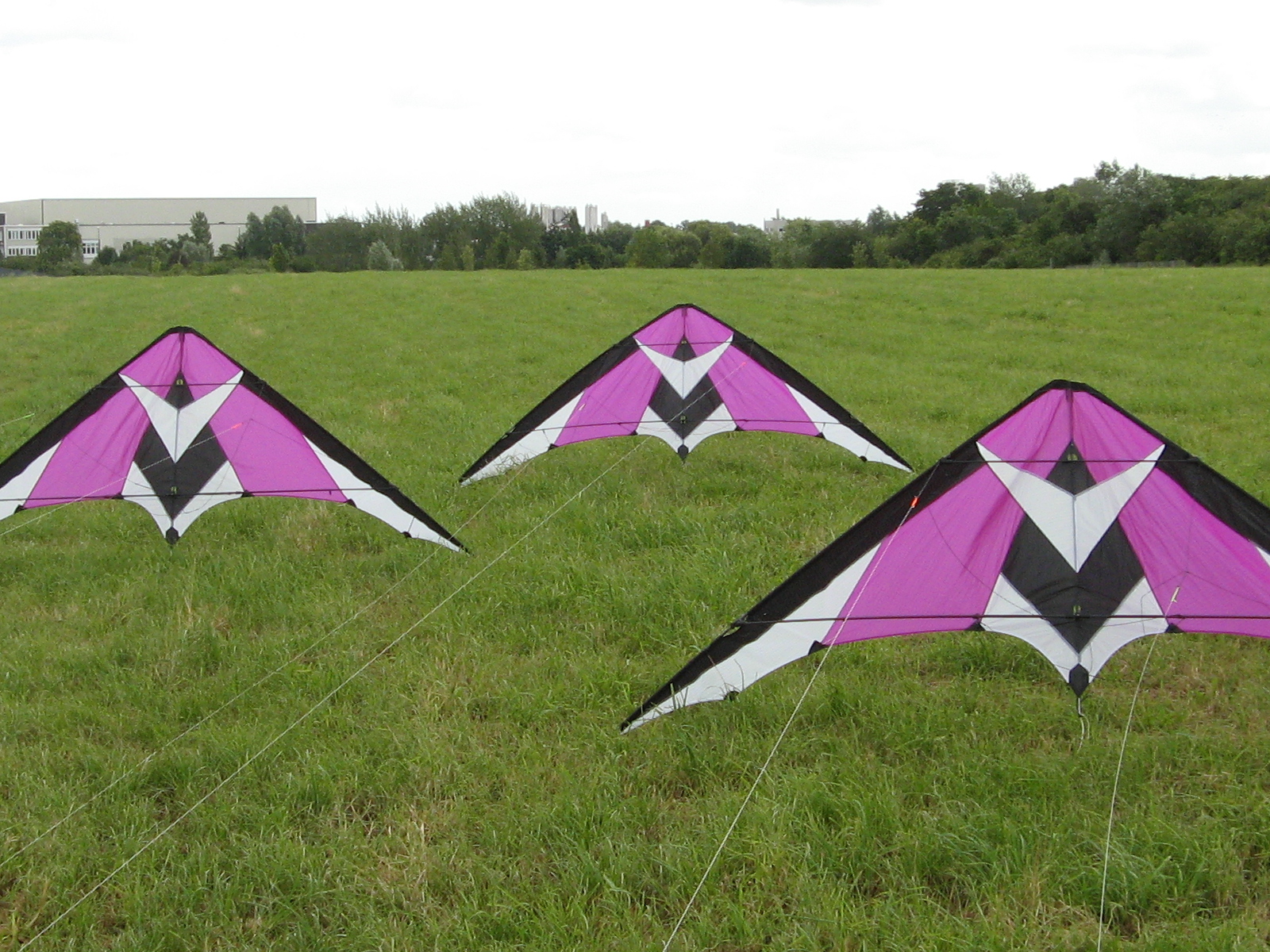 dreisaltas